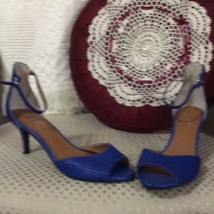 Royal Blue 2/1/2 inch heels